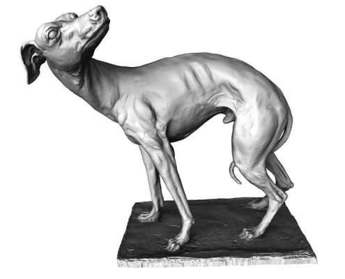 Whippet Sculpture Artec Eva Europac 3D