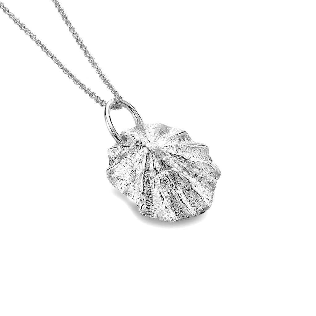 Rock limpet pendant - SilverOrigins